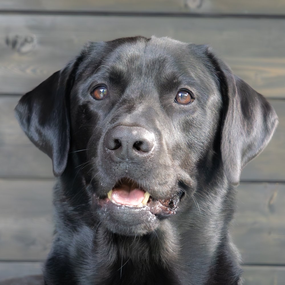 profielfoto Fester77